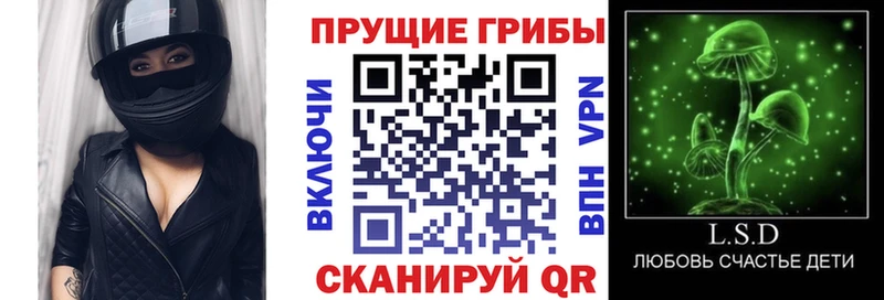 Галлюциногенные грибы прущие грибы  Сердобск 