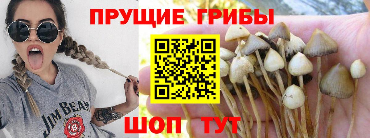 Псилоцибиновые грибы Psilocybine cubensis  Вход с VPN  Галлюциногенные грибы Psilocybe  Сердобск 