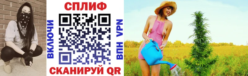 Шишки марихуана гибрид где можно купить блэк спрут маркетплейс сайты даркнета официальный сайт Сердобск